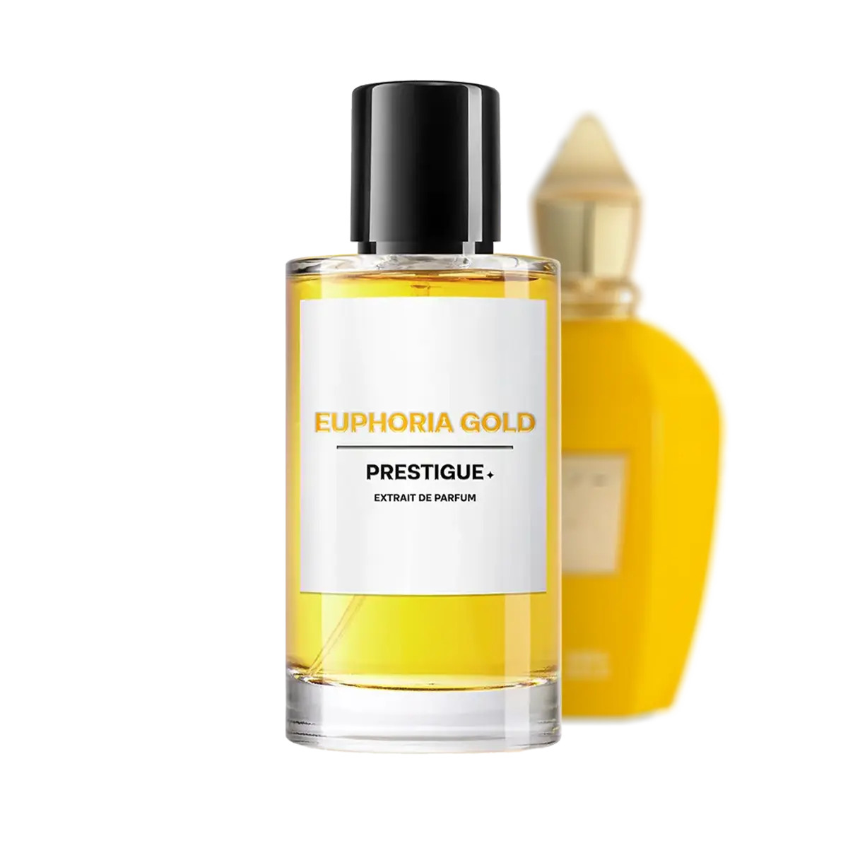 EUPHORIA GOLD