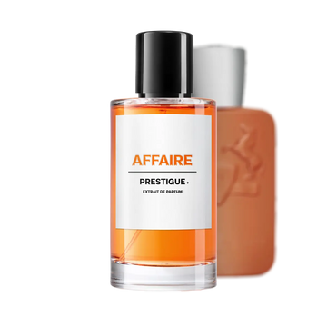 AFFAIRE reference image