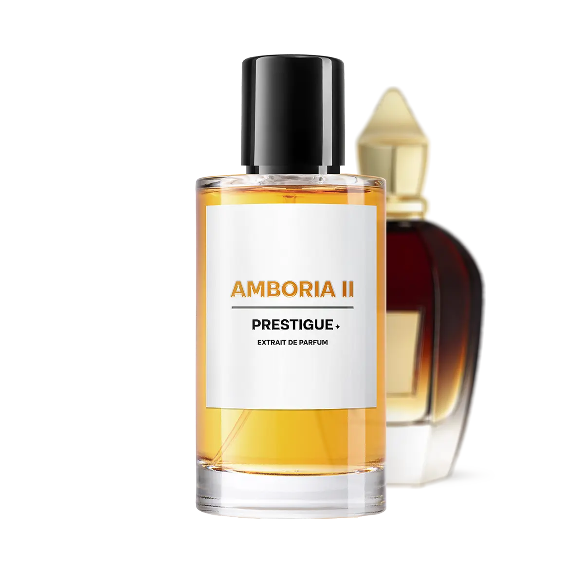 AMBORIA II
