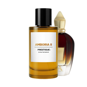 AMBORIA II