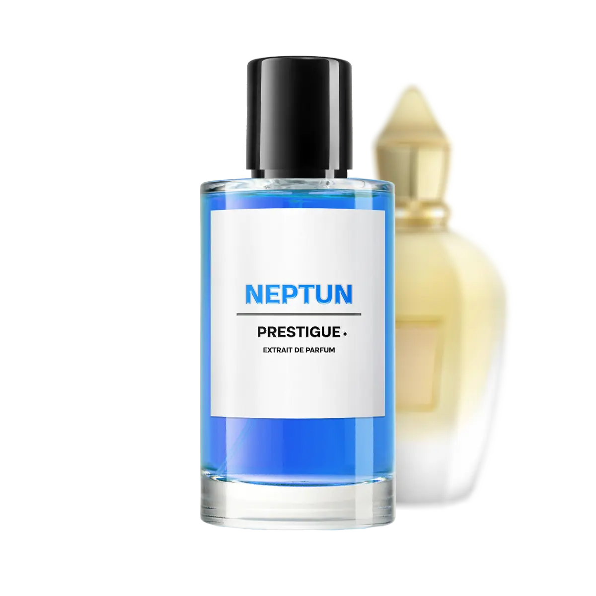 NEPTUN