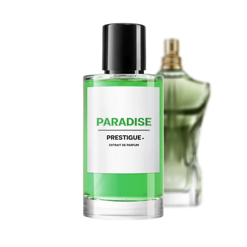 PARADISE reference image