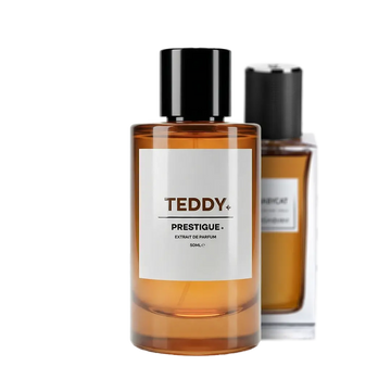 TEDDY reference image