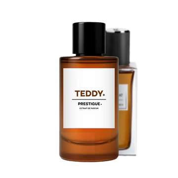 TEDDY reference image